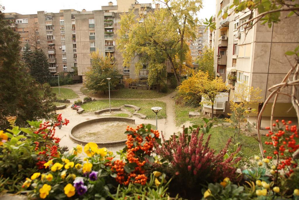 Apartment Spacious Liman Novi Sad Dış mekan fotoğraf