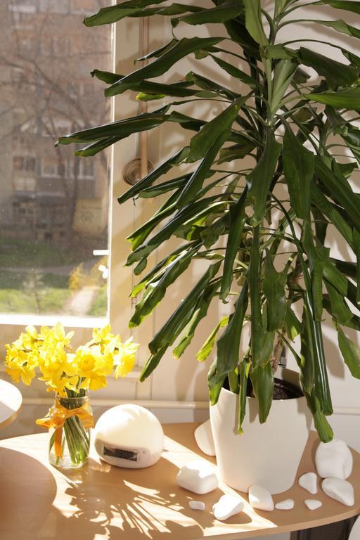 Apartment Spacious Liman Novi Sad Dış mekan fotoğraf