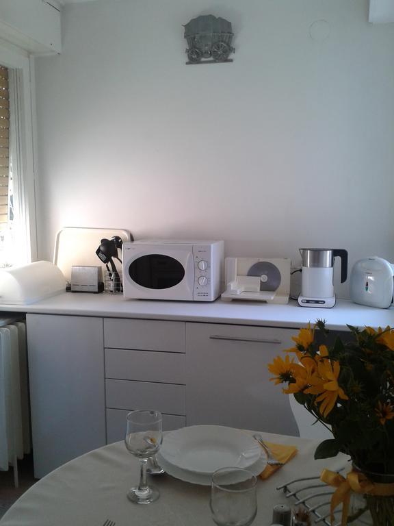 Apartment Spacious Liman Novi Sad Dış mekan fotoğraf