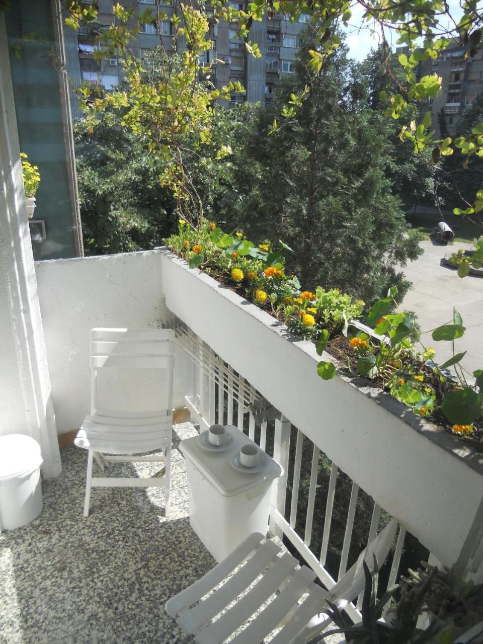 Apartment Spacious Liman Novi Sad Dış mekan fotoğraf